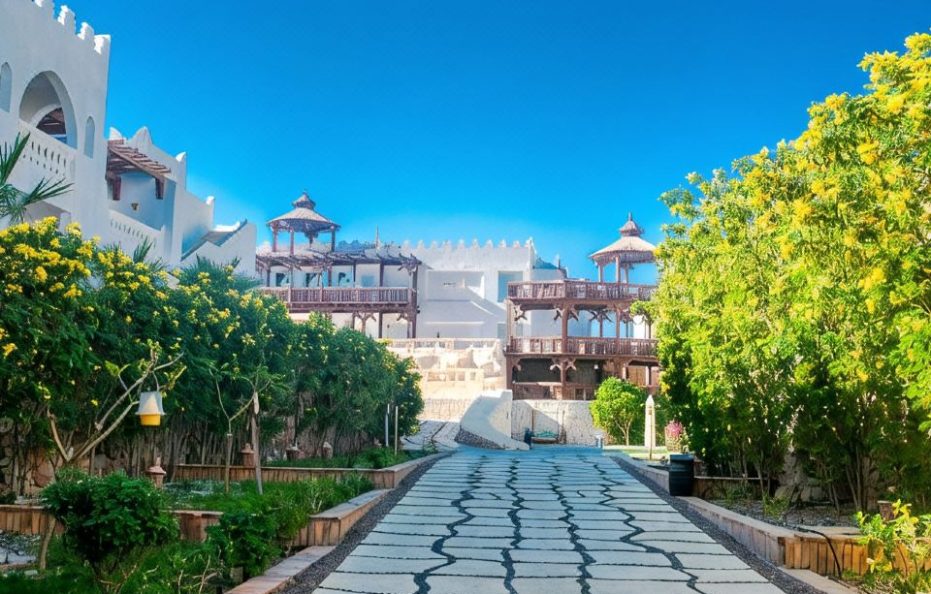 Standard Room – فردي