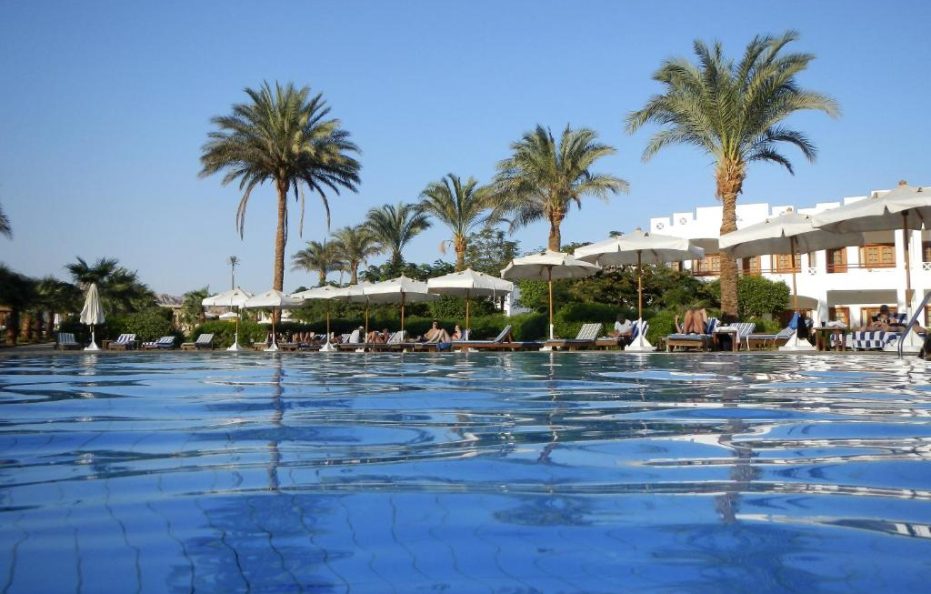هابي لايف دهب