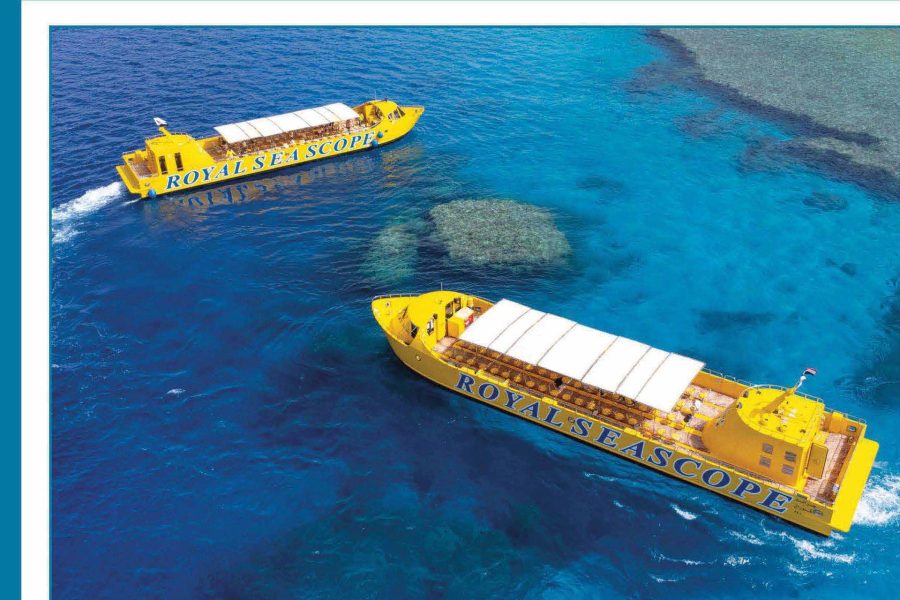غواصة Royal Sea Scope مرسى علم